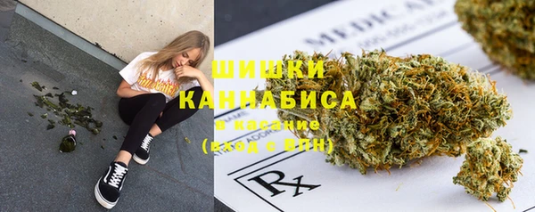 стаф Новокубанск