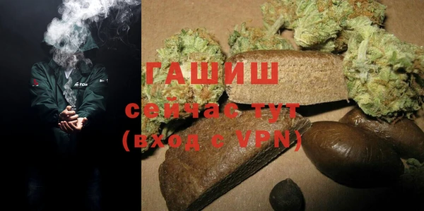 прущие грибы Новодвинск
